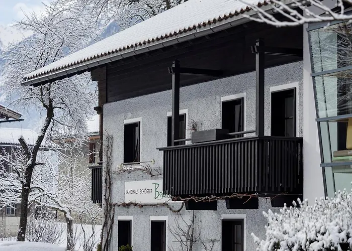 Schösser-brandler 4*